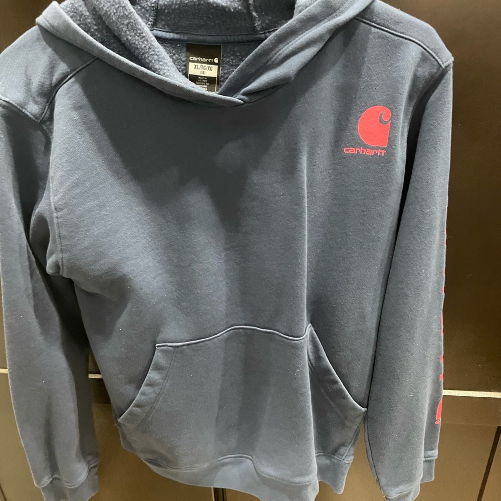 Carhartt Kids Charcoal and Red Hoodie